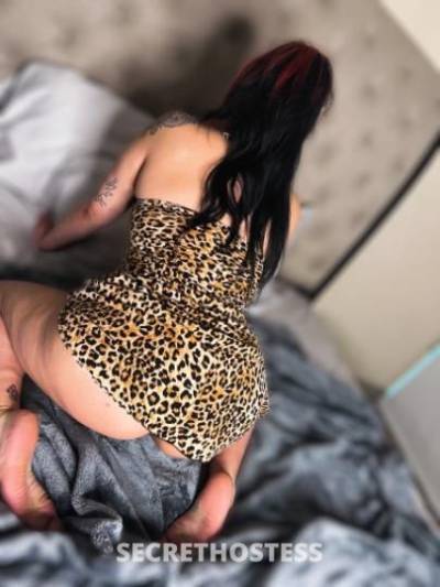 25 year old Latino Escort in Dallas TX onlyfans com feybae23