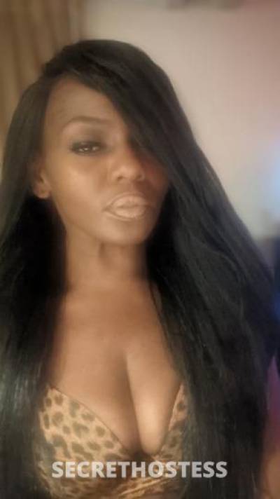 26Yrs Old Escort Dallas TX Image - 4