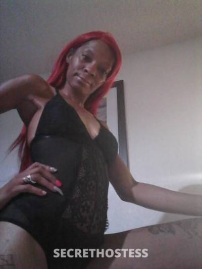 35Yrs Old Escort Dallas TX Image - 0