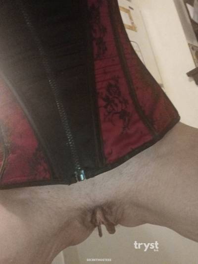 40Yrs Old Escort Size 10 173CM Tall Glenview IL Image - 8