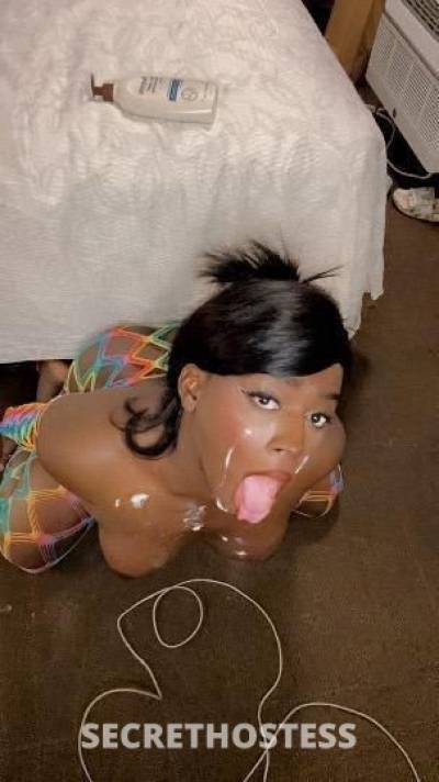 Trans Beauty Available Let s Meet My Place Or Your in Milwaukee WI