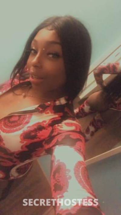 26Yrs Old Escort Milwaukee WI Image - 1