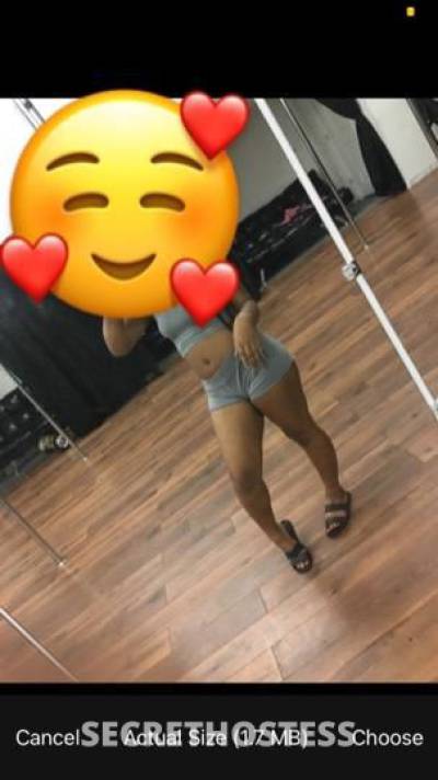 25Yrs Old Escort Houston TX Image - 0