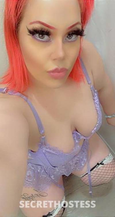 26Yrs Old Escort Dallas TX Image - 1