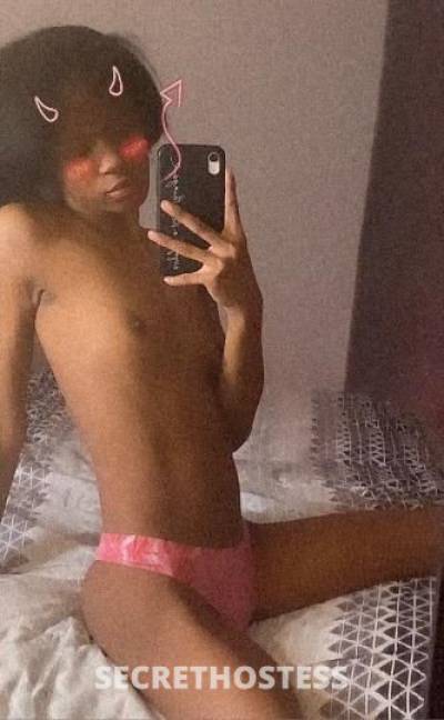 20Yrs Old Escort Houston TX Image - 1