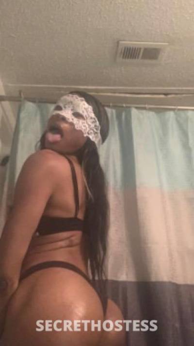 27Yrs Old Escort Dallas TX Image - 0