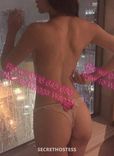 Rio 26Yrs Old Escort Wagga Wagga Image - 3