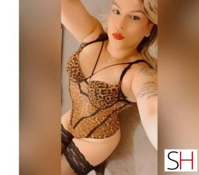 28 year old Latino Escort in Derby ??Your best experience! 100%Real sexy and party?, 