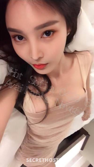 Sofia 25Yrs Old Escort Sydney Image - 2