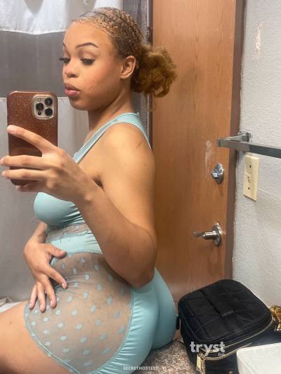 20Yrs Old Escort Size 10 159CM Tall Dallas TX Image - 1