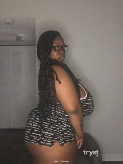 20 Year Old American Escort Tampa FL Brunette - Image 1