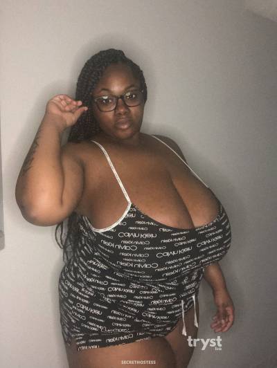 20 Year Old American Escort Tampa FL Brunette - Image 2