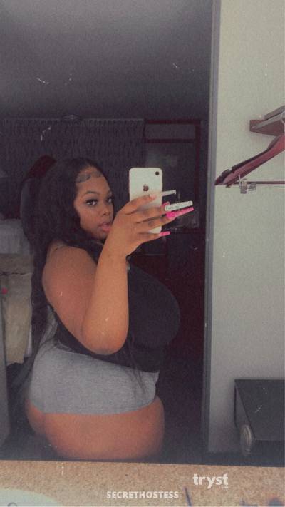 20 Year Old American Escort Tampa FL Brunette - Image 3