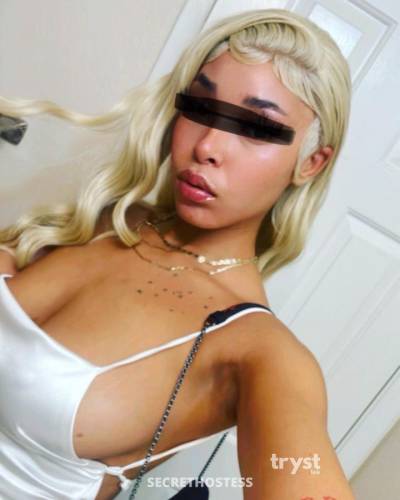 20Yrs Old Escort Size 8 165CM Tall Phoenix AZ Image - 0