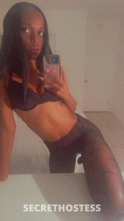 23Yrs Old Escort Miami FL Image - 3