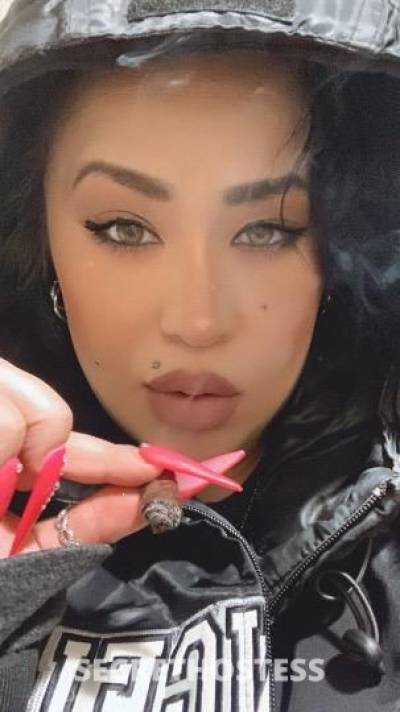 36 year old Irish Escort in San Fernando Valley CA Short and Thick Like Hot Cakes