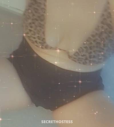 42Yrs Old Escort Toowoomba Image - 1