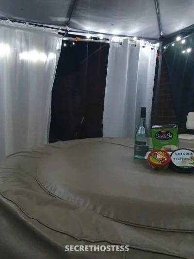44 year old Australian Escort in Box Hill North Melbourne Ali's Oasis + Ass in Mont Albert north