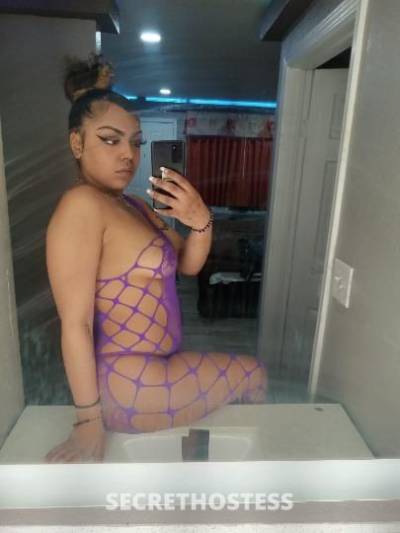 21 year old Escort in Memphis TN new in town ready to fuck daddy