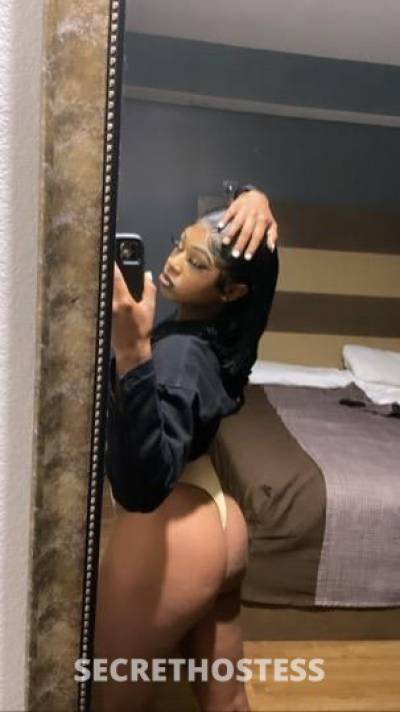 22 Year Old American Escort Houston TX - Image 1