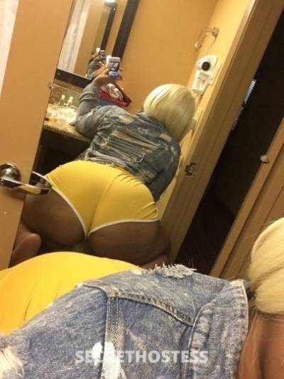 24Yrs Old Escort Houston TX Image - 0