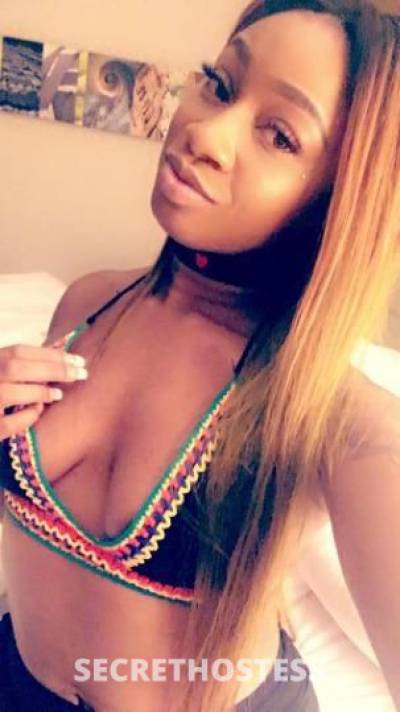 26Yrs Old Escort Clarksville TN Image - 2