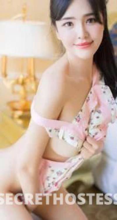 26Yrs Old Escort Cairns Image - 2