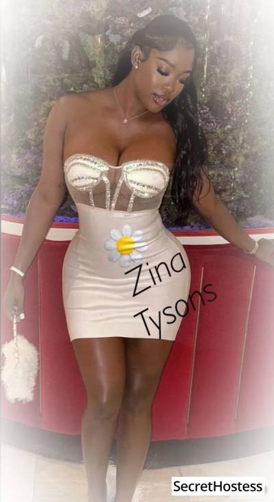 Zina 28Yrs Old Escort 71KG 169CM Tall Washington DC Image - 2