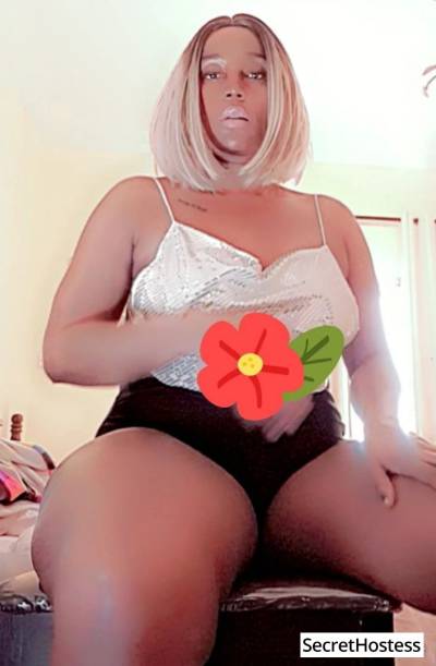 28Yrs Old Escort 89KG 170CM Tall Manama Image - 2