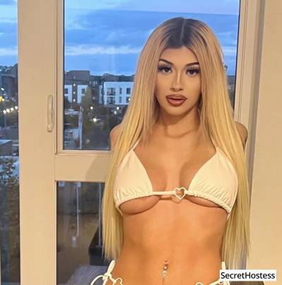 20 Year Old Peruvian Escort Los Angeles CA - Image 1