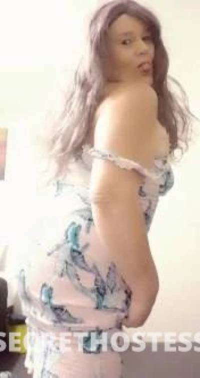 43Yrs Old Escort Size 14 Bundaberg Image - 0