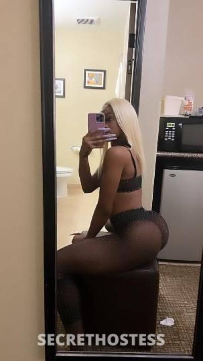 22Yrs Old Escort San Diego CA Image - 2