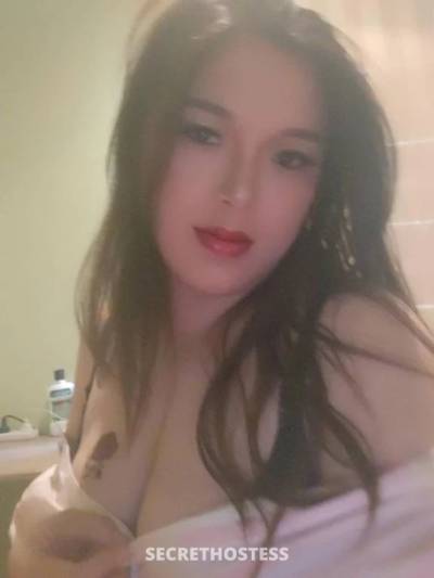 25 year old Asian Escort in Hobart New Private Korean petite busty sweet chatty girl passionate