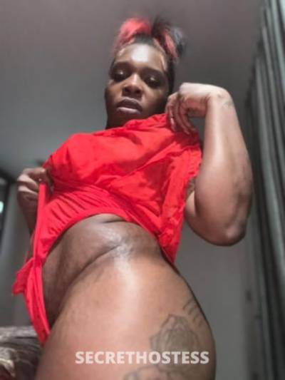 26 year old Escort in Detroit MI Come Play Daddy