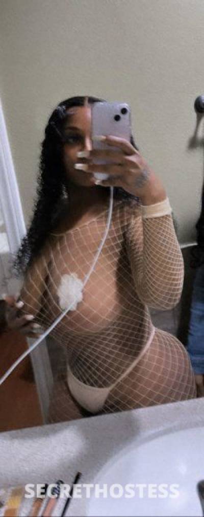 29Yrs Old Escort Norfolk VA Image - 5