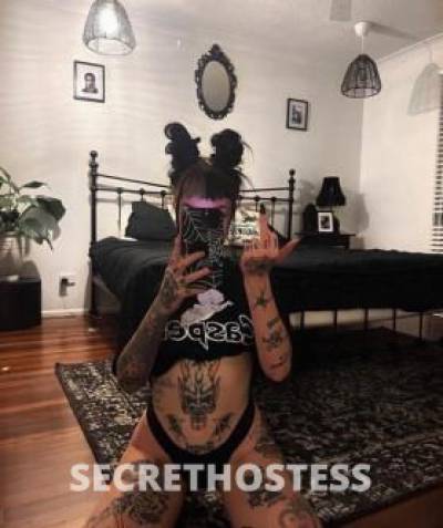 Cindy 20Yrs Old Escort Wodonga Image - 2