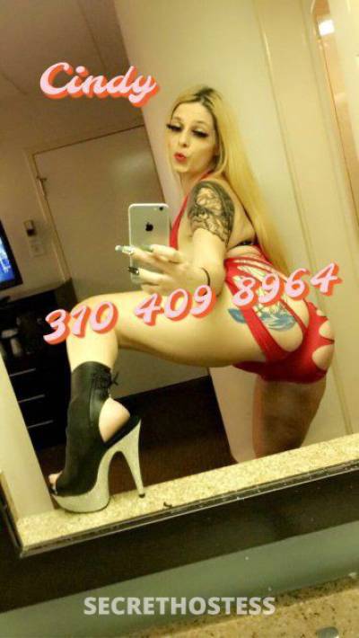 Cindy 22Yrs Old Escort 167CM Tall Norfolk VA Image - 3