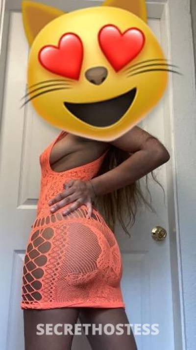 20Yrs Old Escort Tampa FL Image - 0