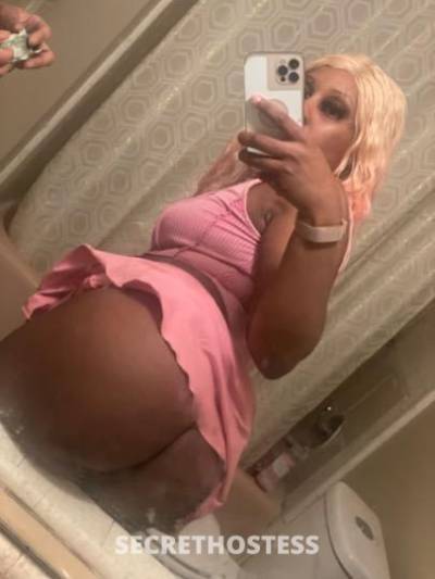 21Yrs Old Escort San Jose CA Image - 2