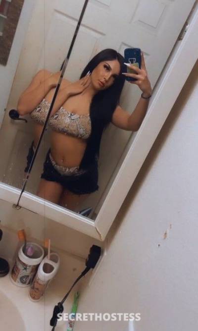 21 Year Old Latino Escort San Jose CA - Image 1