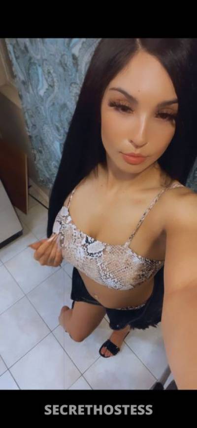 21 Year Old Latino Escort San Jose CA - Image 2