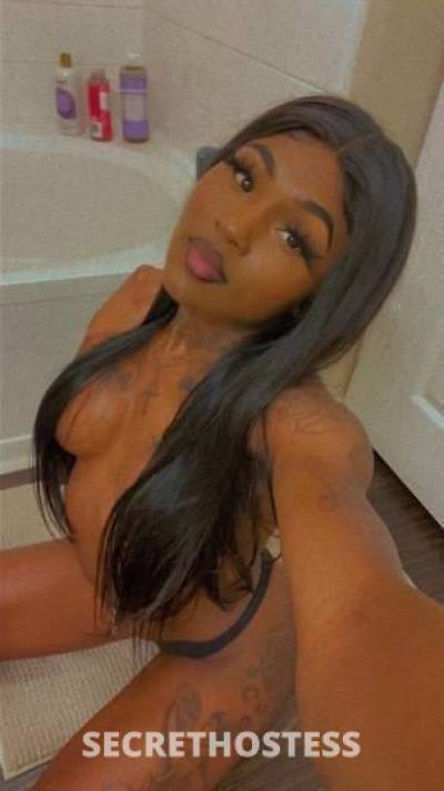 22Yrs Old Escort Jacksonville FL Image - 0