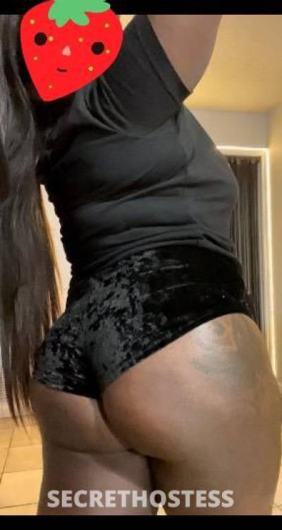 23Yrs Old Escort Orlando FL Image - 3