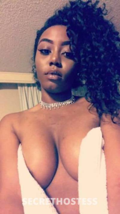 24Yrs Old Escort Tampa FL Image - 1