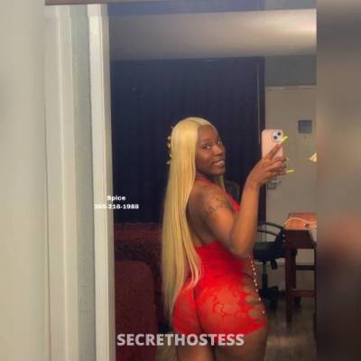 25Yrs Old Escort Orlando FL Image - 2