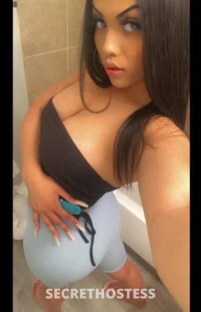 25Yrs Old Escort San Jose CA Image - 0