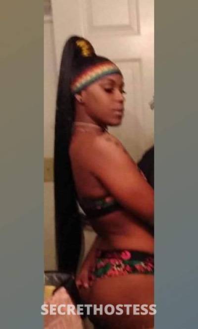 25Yrs Old Escort Tampa FL Image - 2