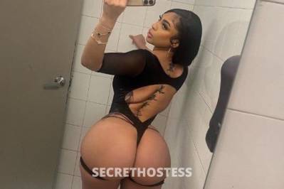 27Yrs Old Escort Northern Virginia DC Image - 3