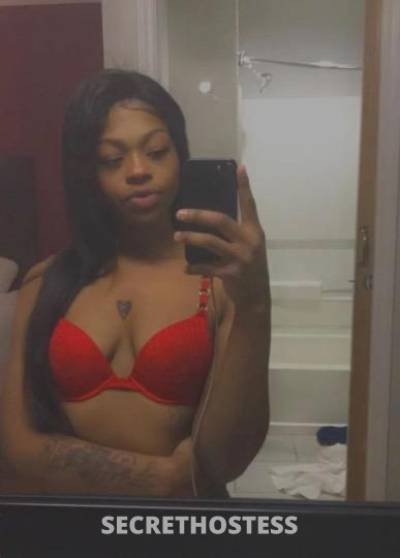 27Yrs Old Escort Tampa FL Image - 3