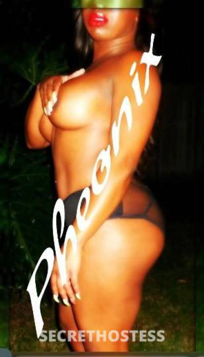 28Yrs Old Escort Tampa FL Image - 3